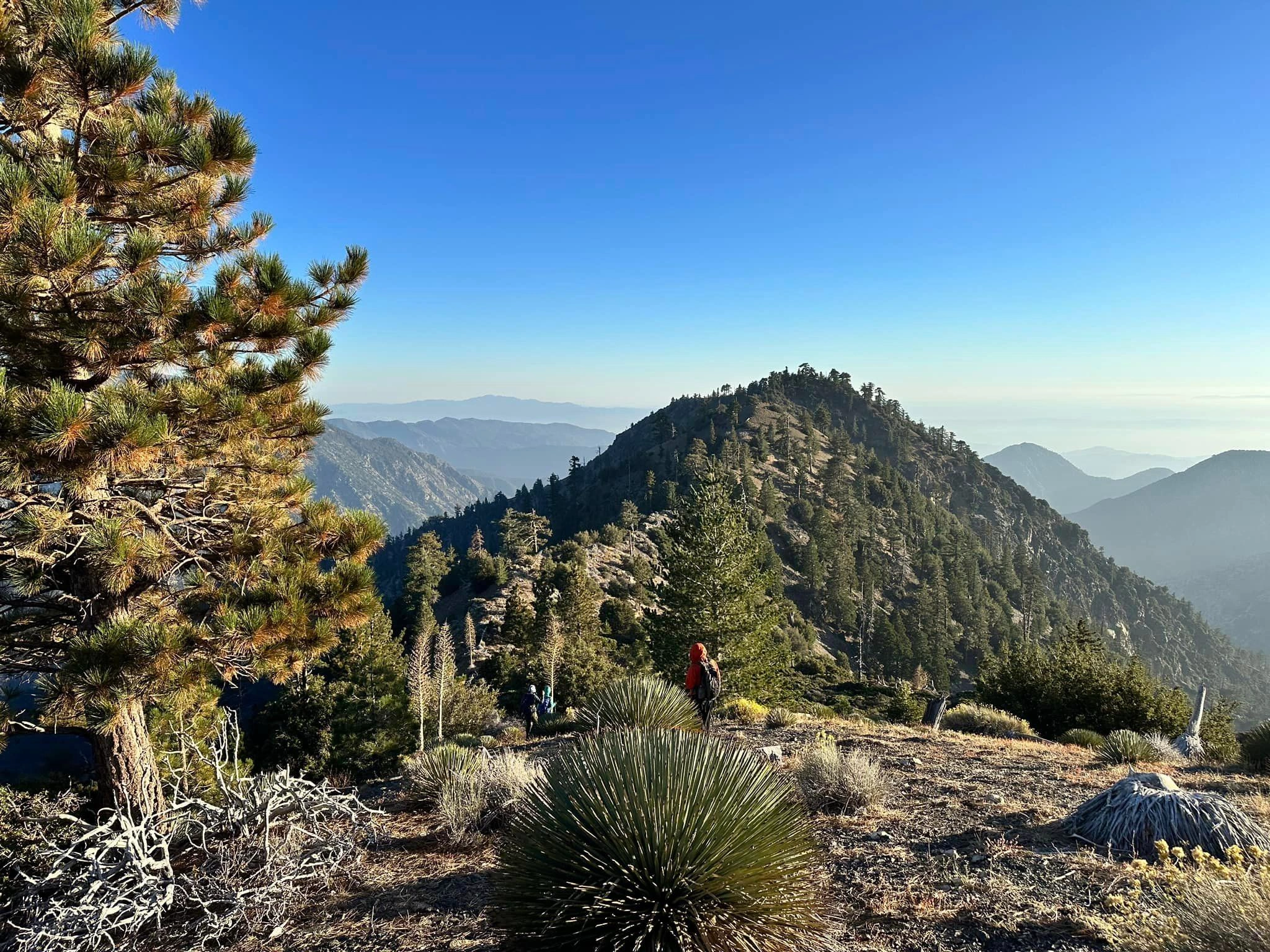 Ross Mountain
