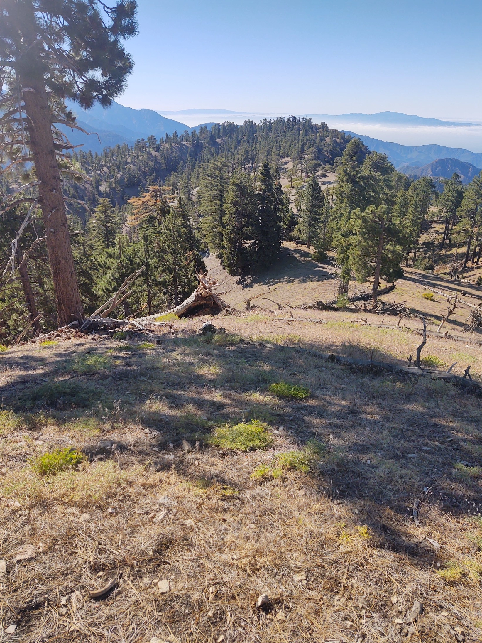 Copter Ridge