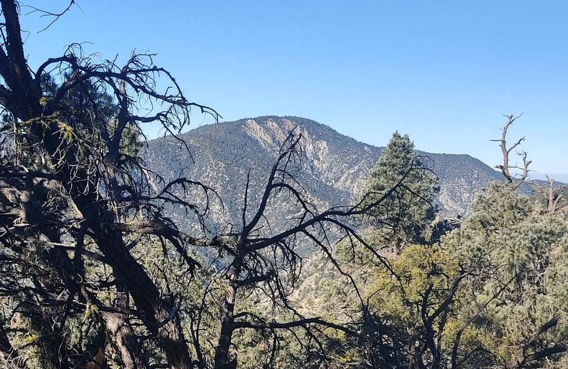 San Emigdio Mountain