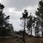 Cerro Noroeste Near