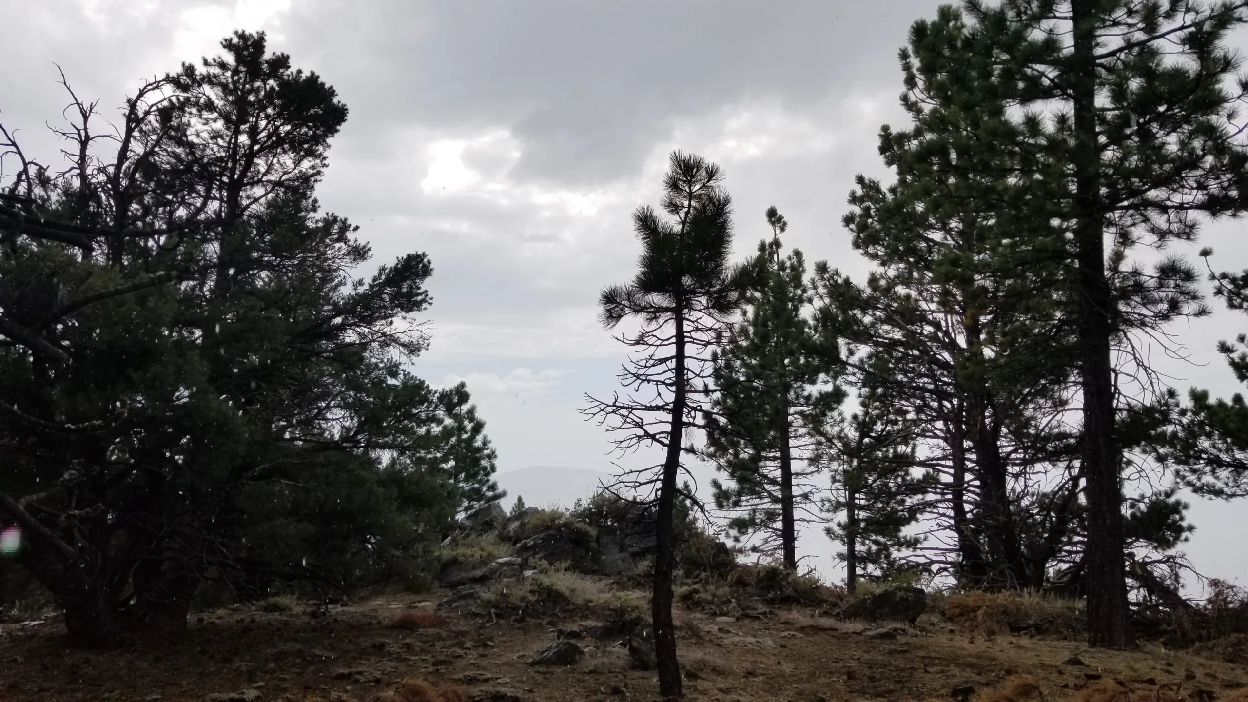 Cerro Noroeste Near
