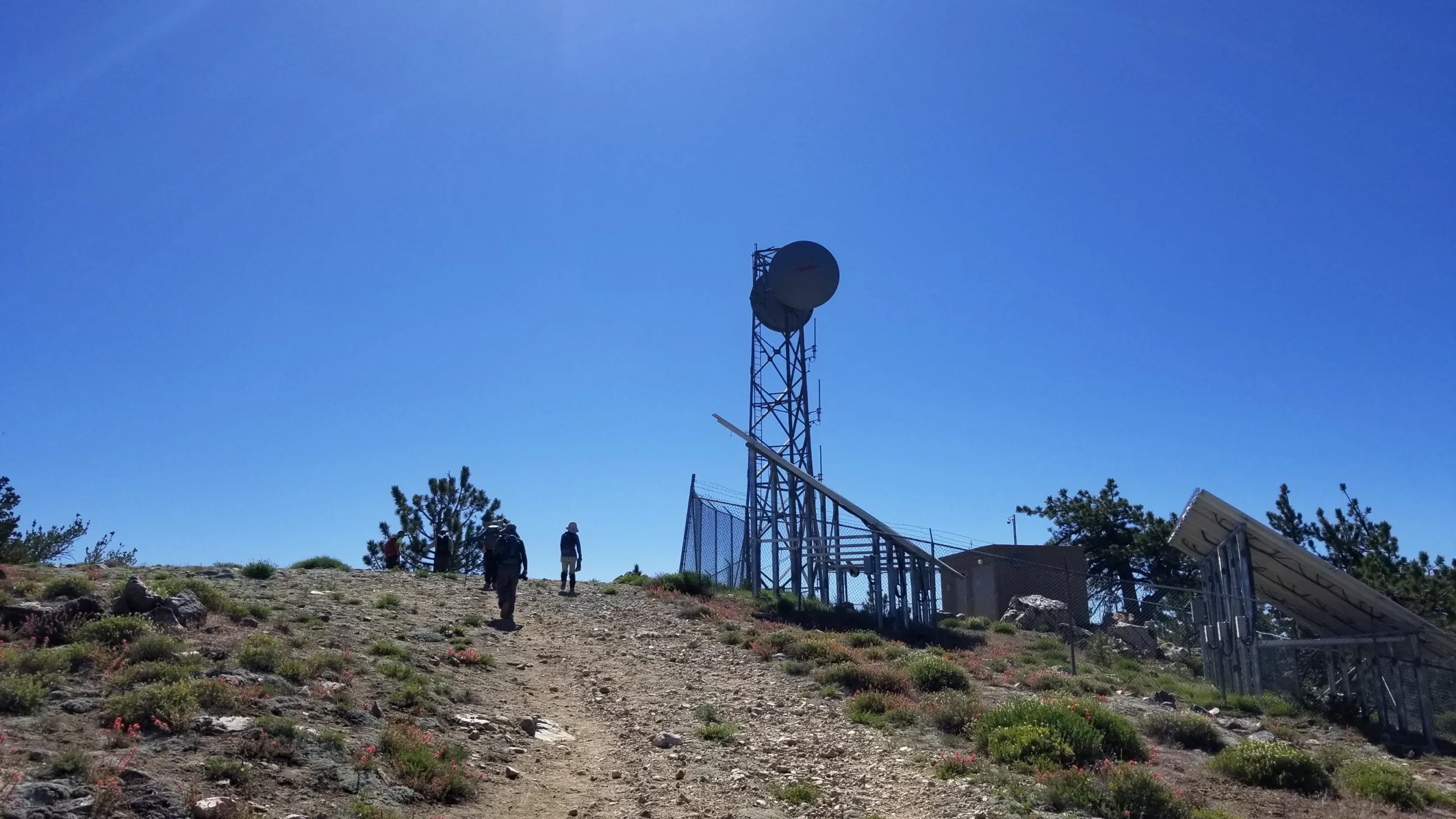 Mount Pinos, near the peak