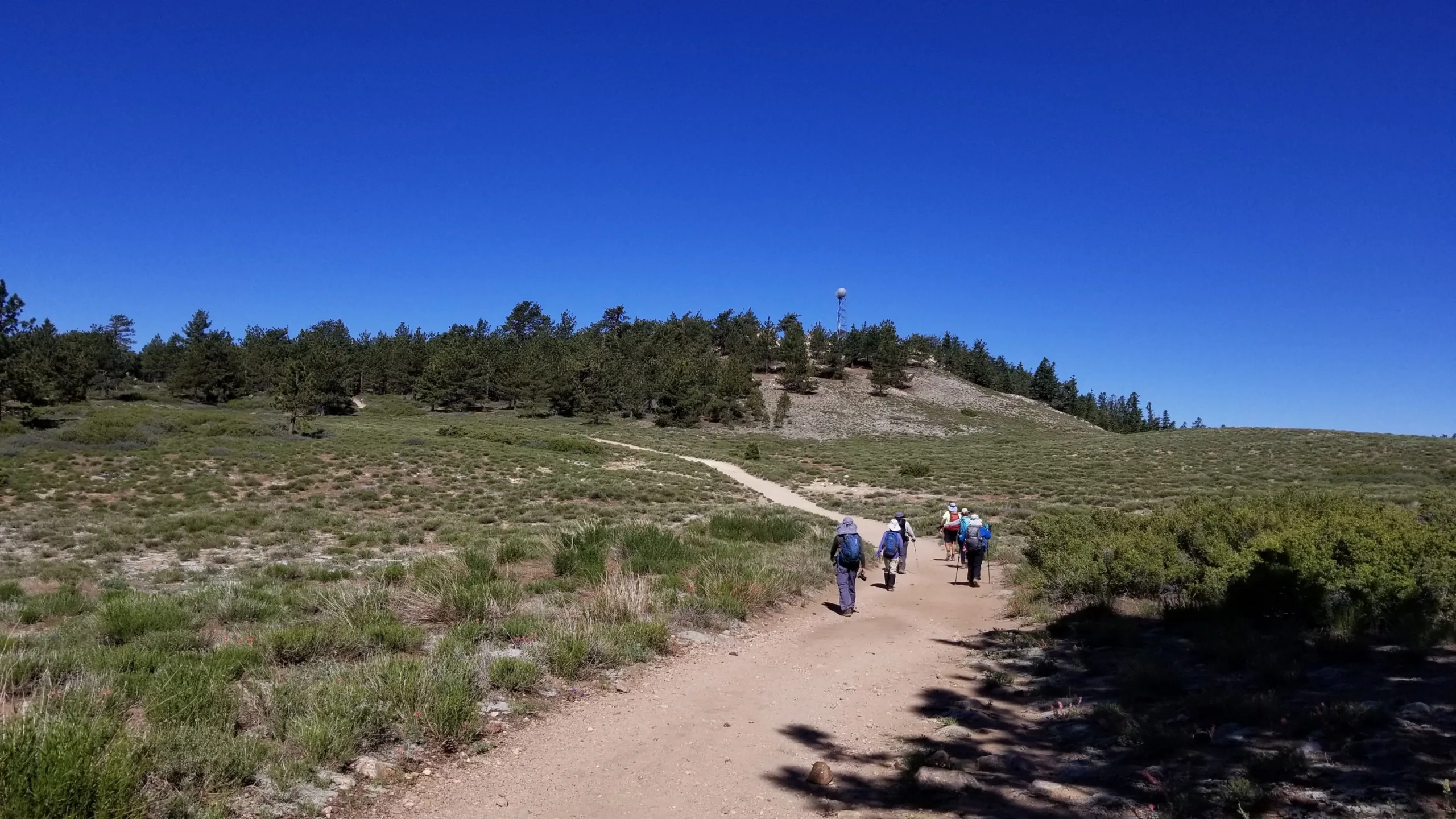 Mount Pinos