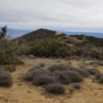 Caliente Mountain