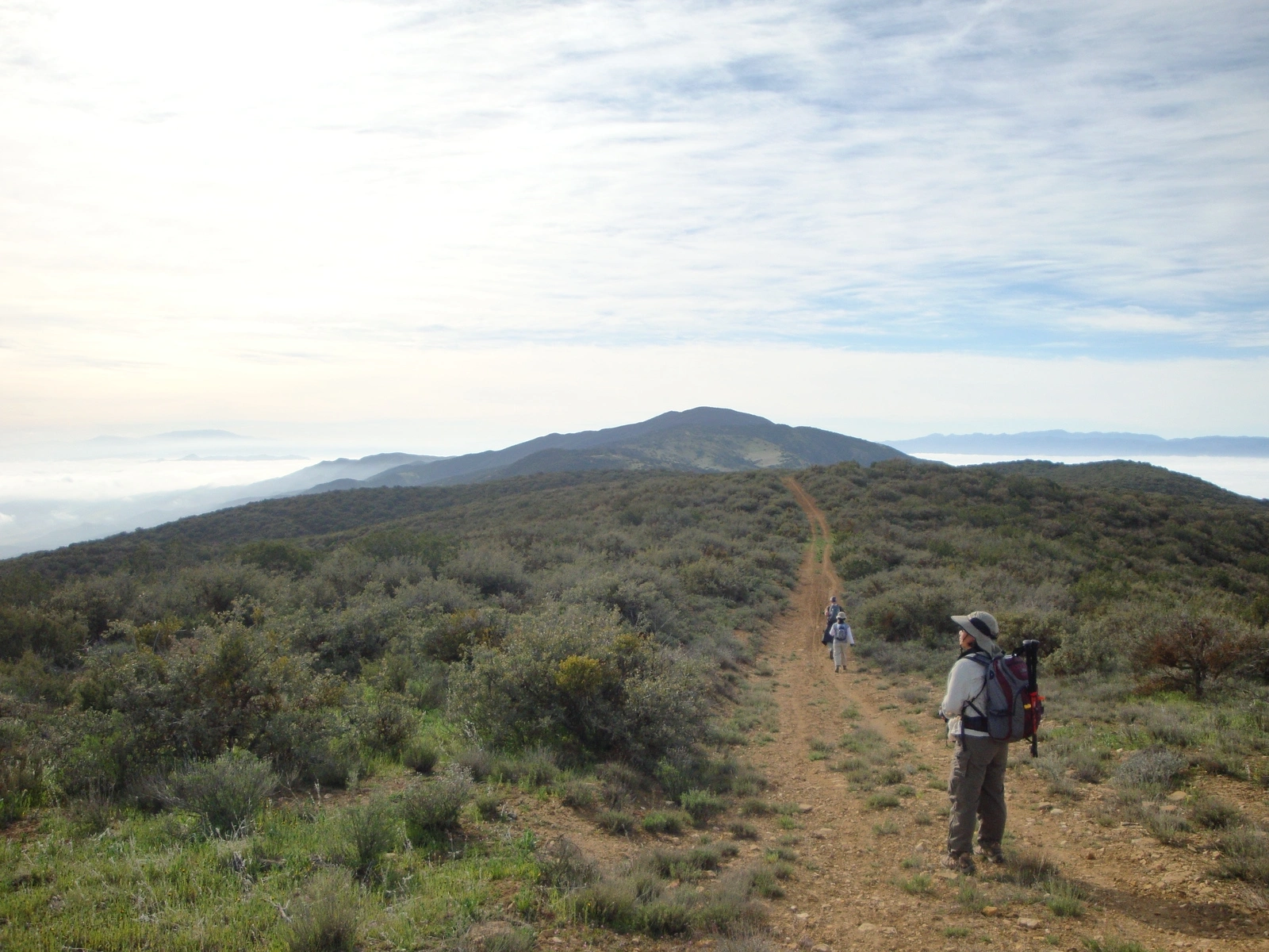 Road to Caliente Mountain