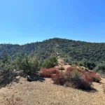 Fox Mountain #1 Near Summit, photo by Sunny Yi