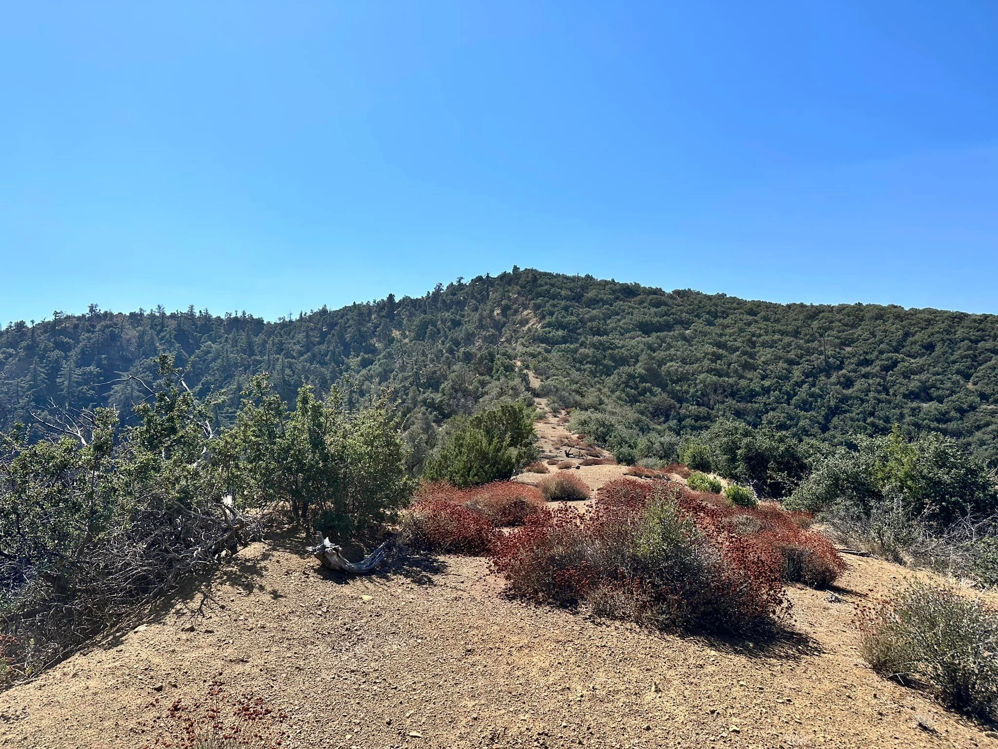 Fox Mountain #1 Near Summit, photo by Sunny Yi