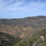 Cuyama Lookout, taken from Lizard Head