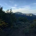 Santa Cruz Peak with flowers