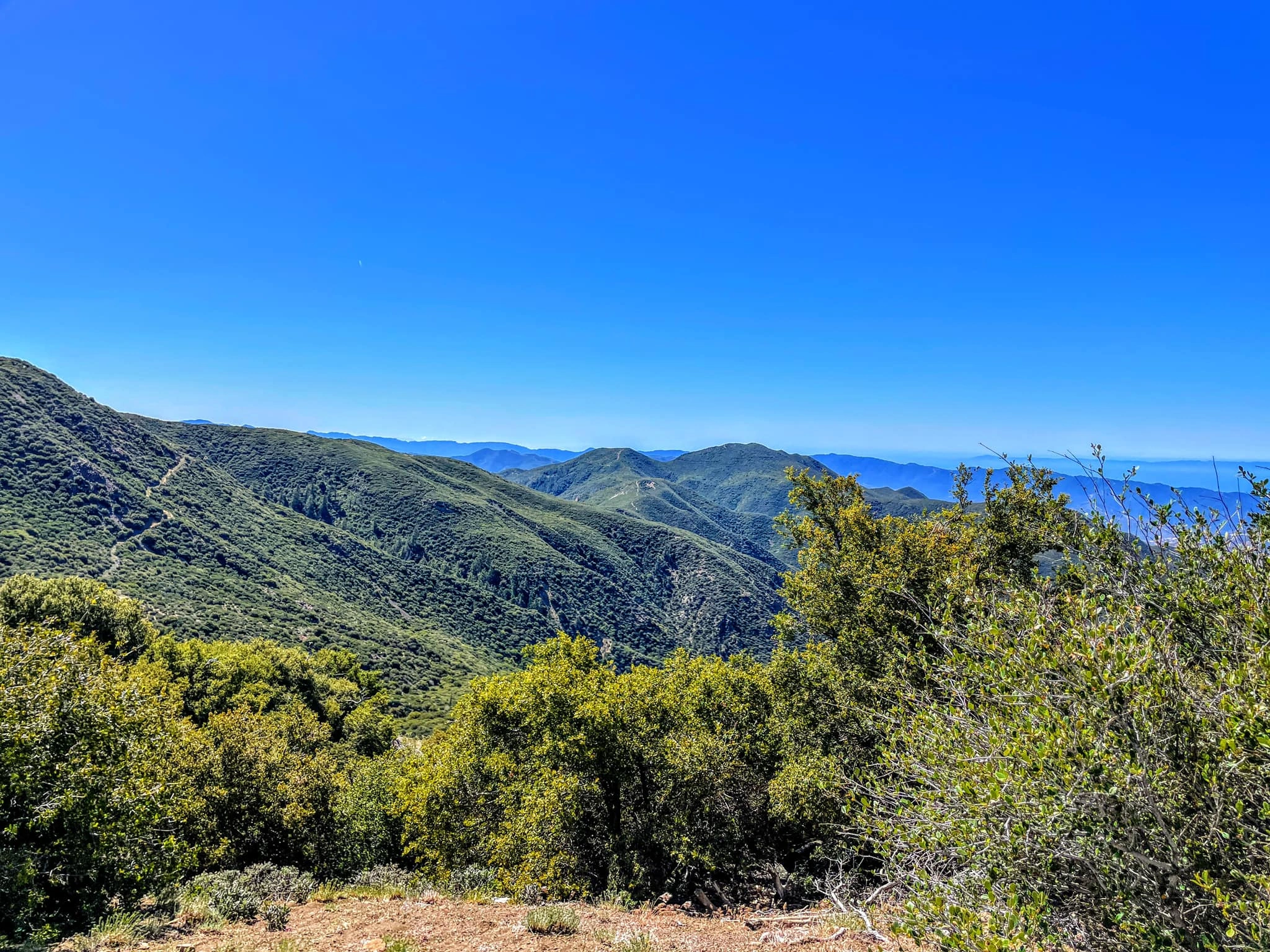 Santa Cruz Peak