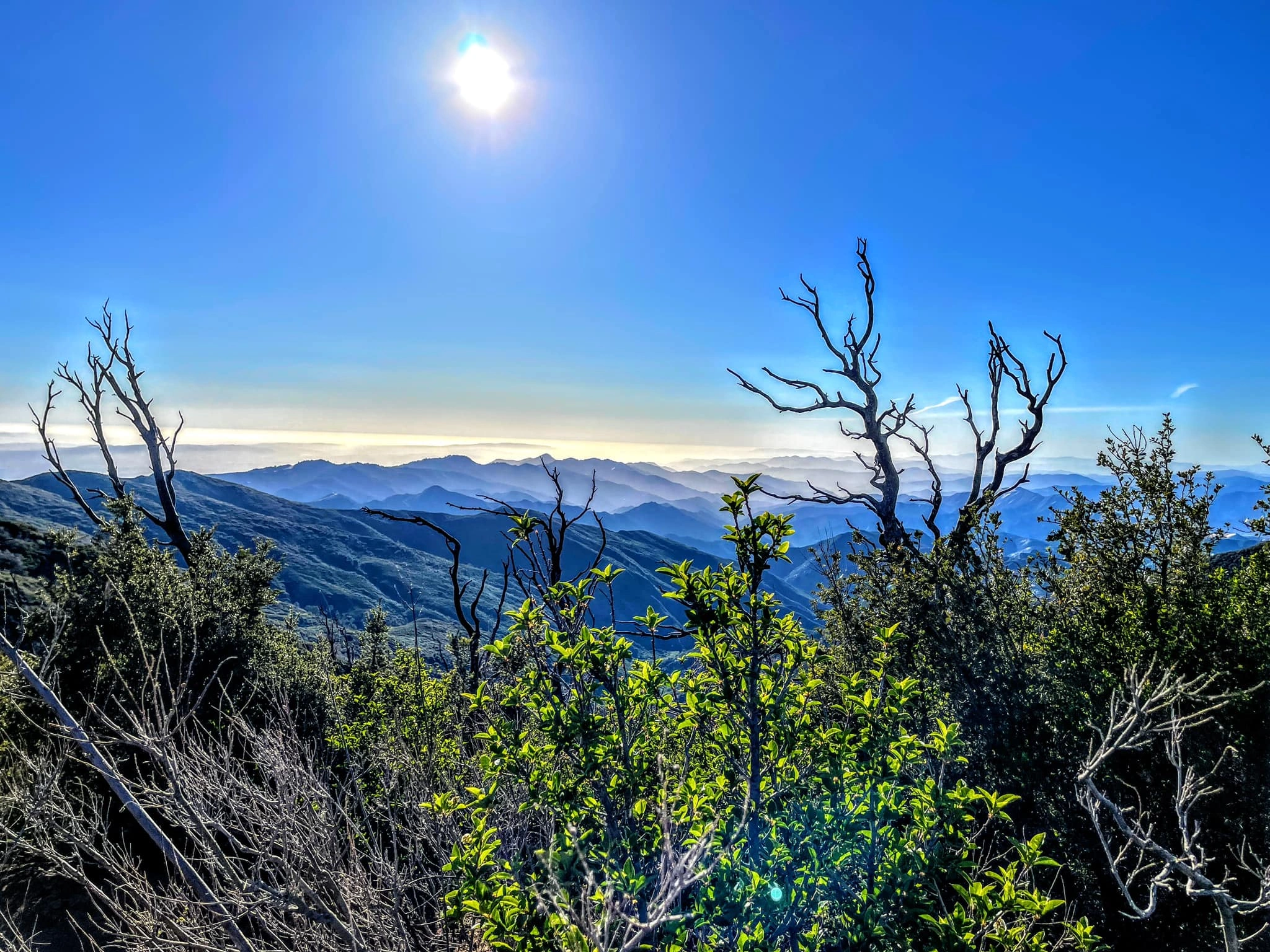 View from the summit of San Rafael