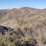 Monte Arido