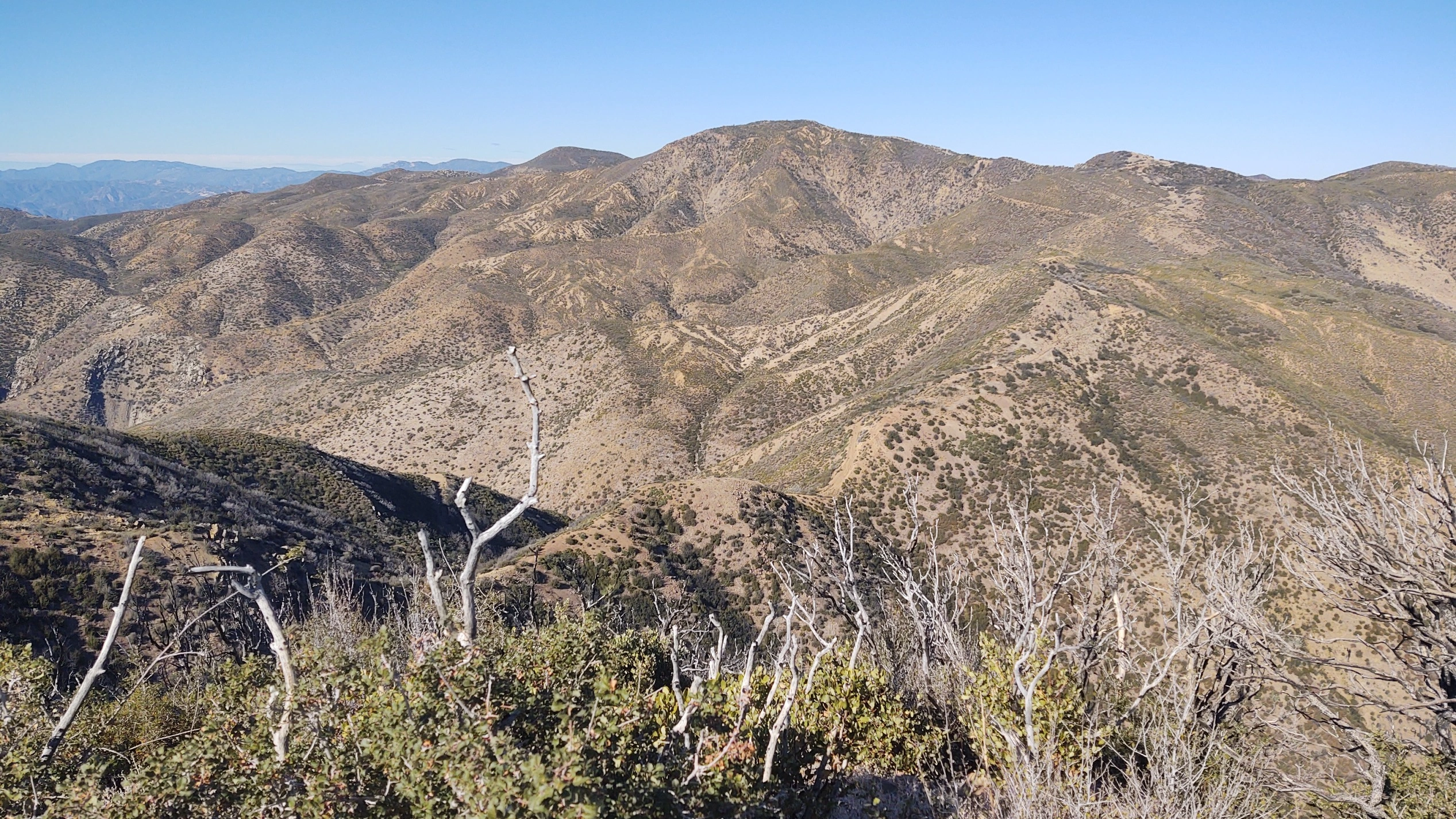 Monte Arido