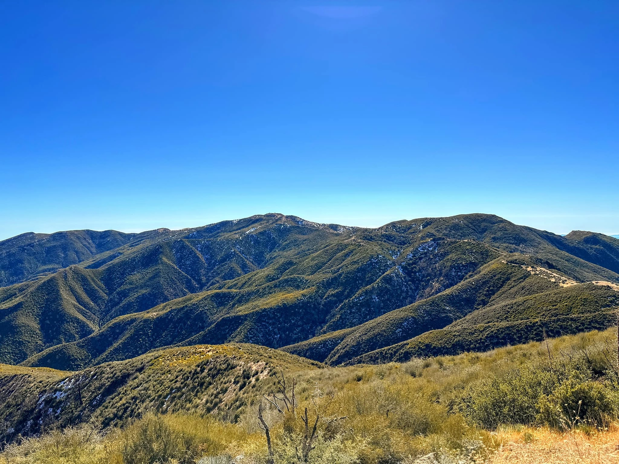 Monte Arido