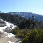 Frazier Mountain, taken from Tecuya