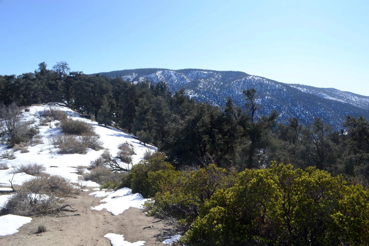 Frazier Mountain, taken from Tecuya