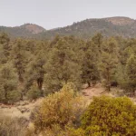 San Guillermo Mountain