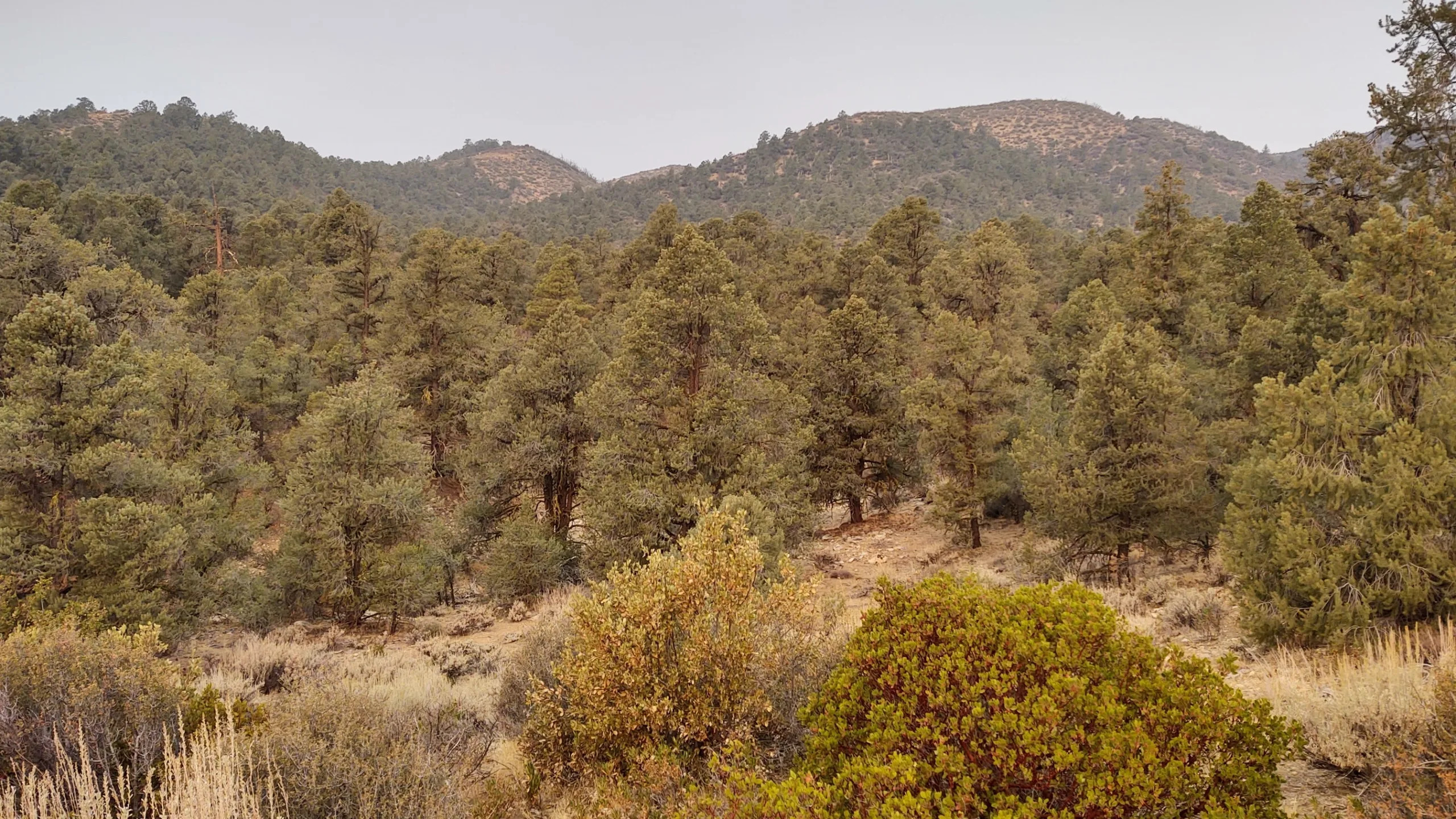 San Guillermo Mountain