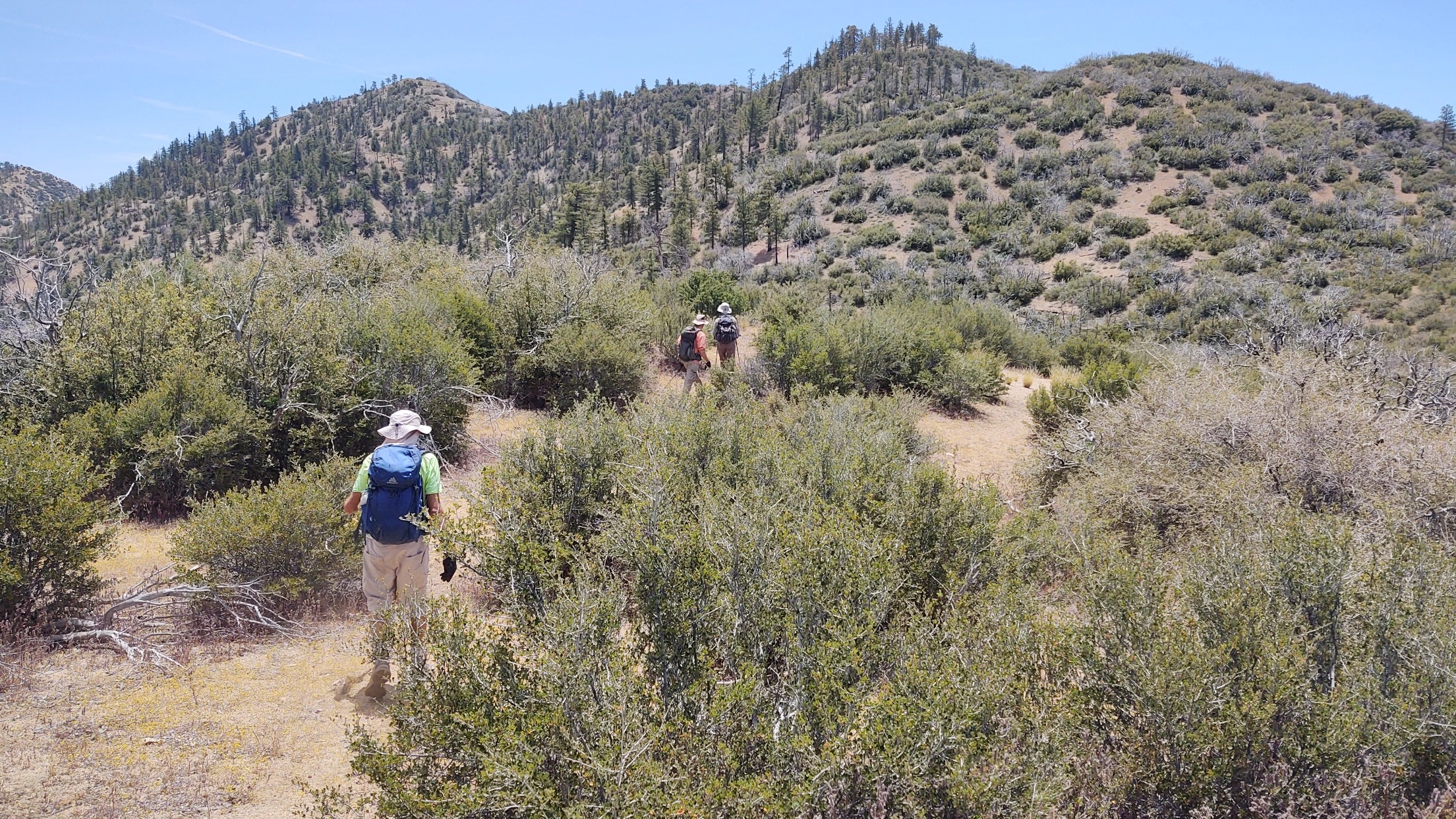 San Rafael Peak