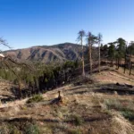 Alamo Mountain, taken from McDonald