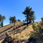 McDonald Summit Block
