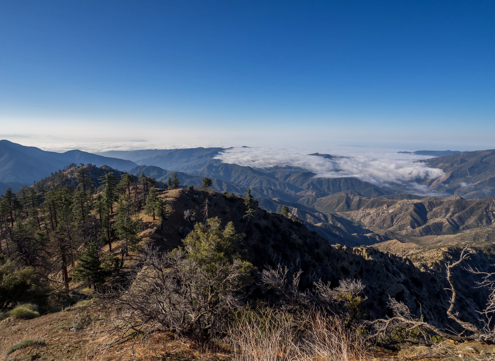 View from McDonald Peak