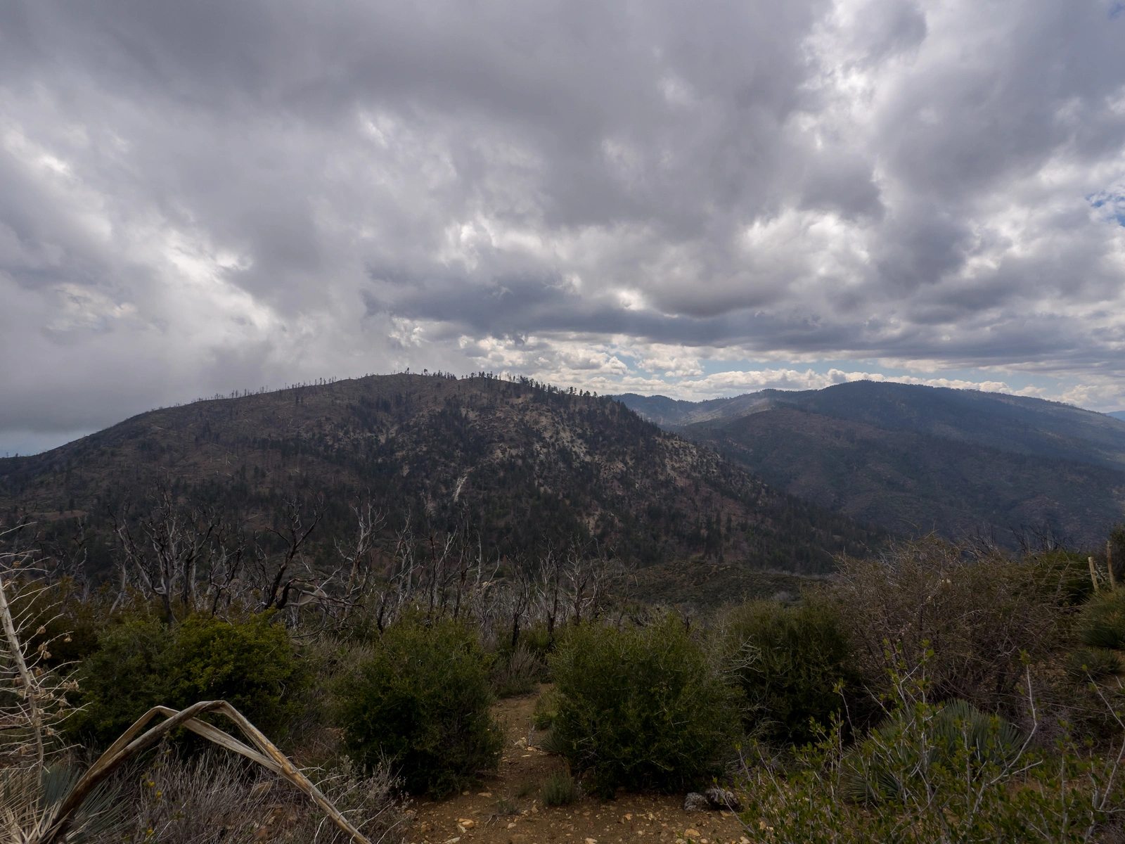 Sewart Mountain, taken from Snowy