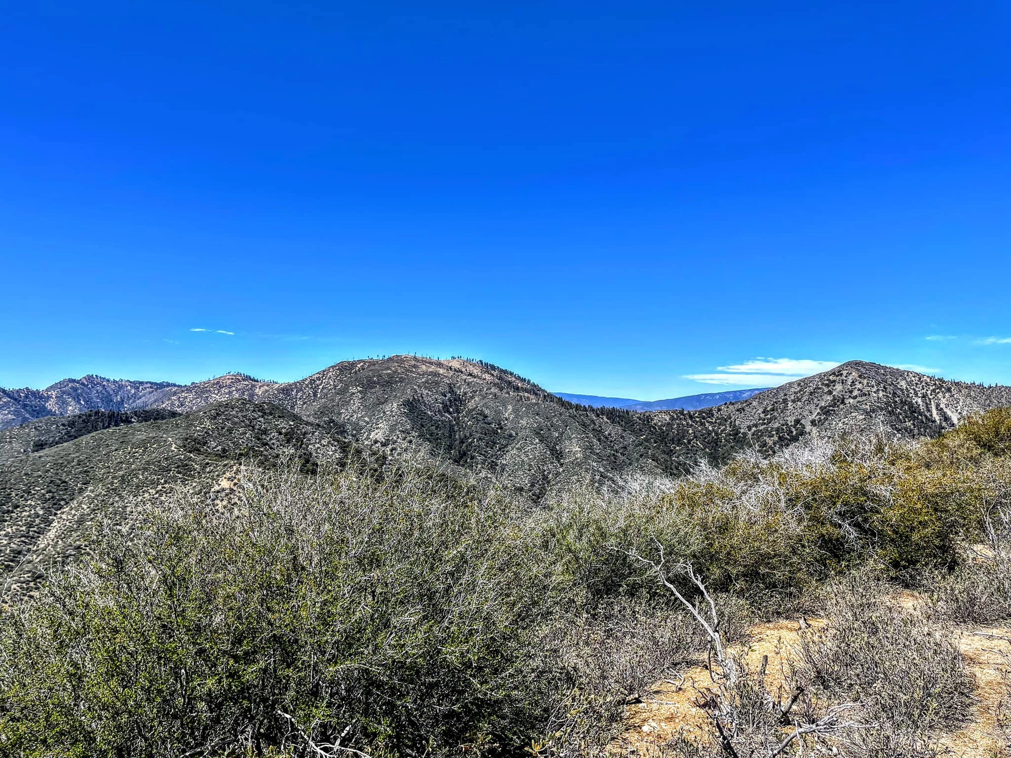 Sewart Mountain and Snowy Peak