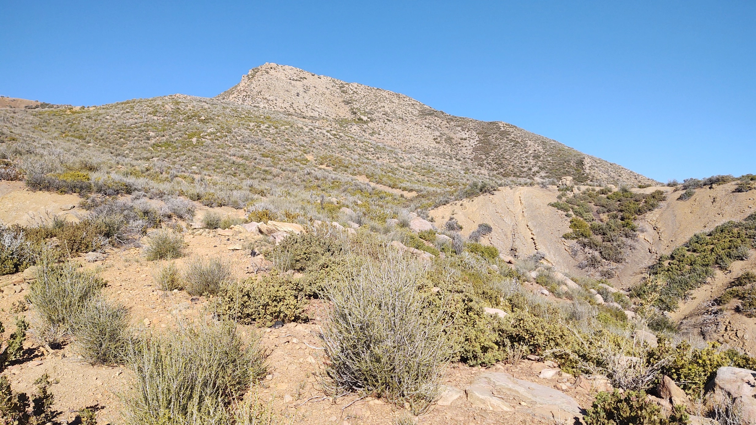 Chief Peak