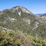 Mount Markham from Mount Lowe Trail