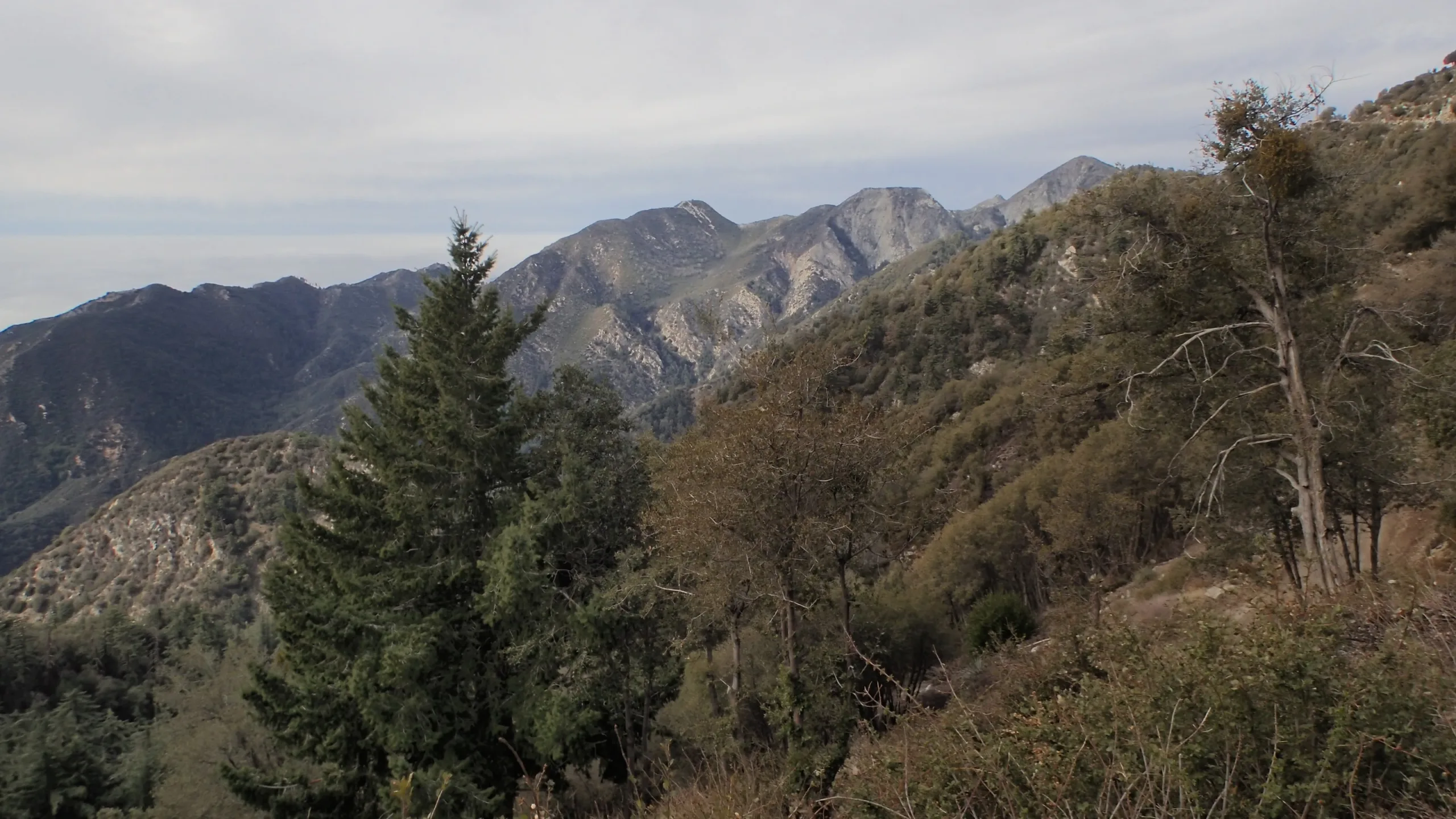 Mount Lowe, taken from Wilson Trail