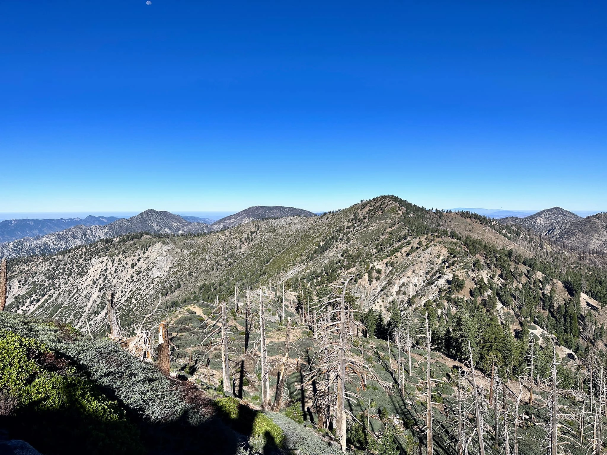 Mount Hawkins
