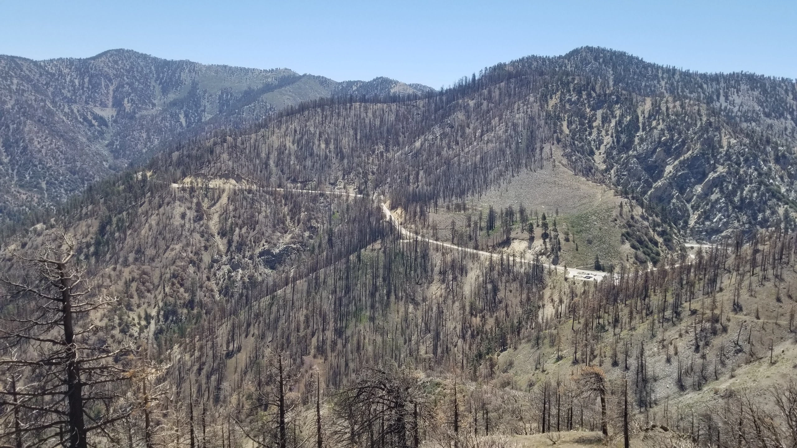 Throop Peak, taken from Williamson