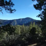 Throop Peak, taken from Lewis
