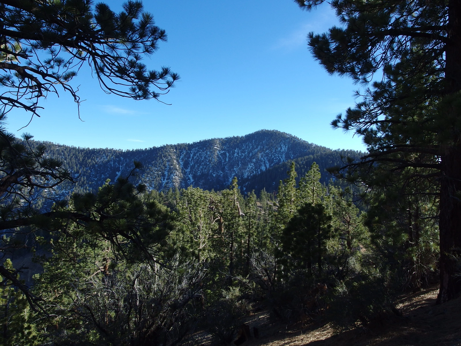 Throop Peak, taken from Lewis