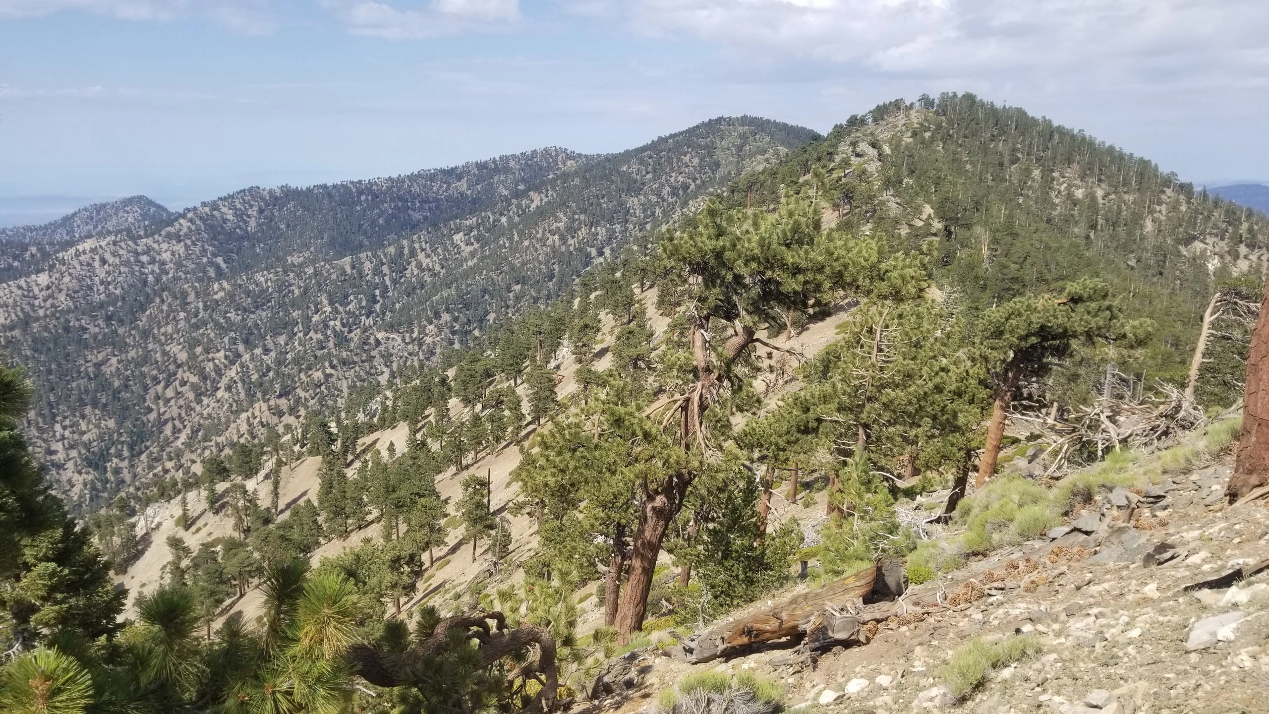 Mount Burnham, taken from Baden Powell Trail