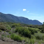 Topatopa Bluff