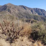 Topatopa Bluff