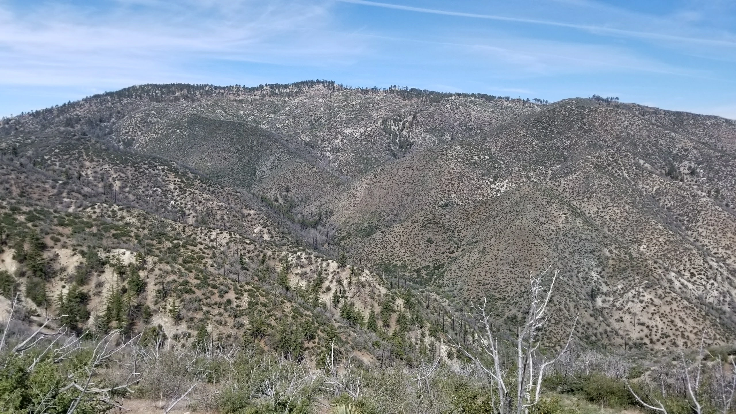 Pacifico Mountain, taken from the Bare Mountain Trail