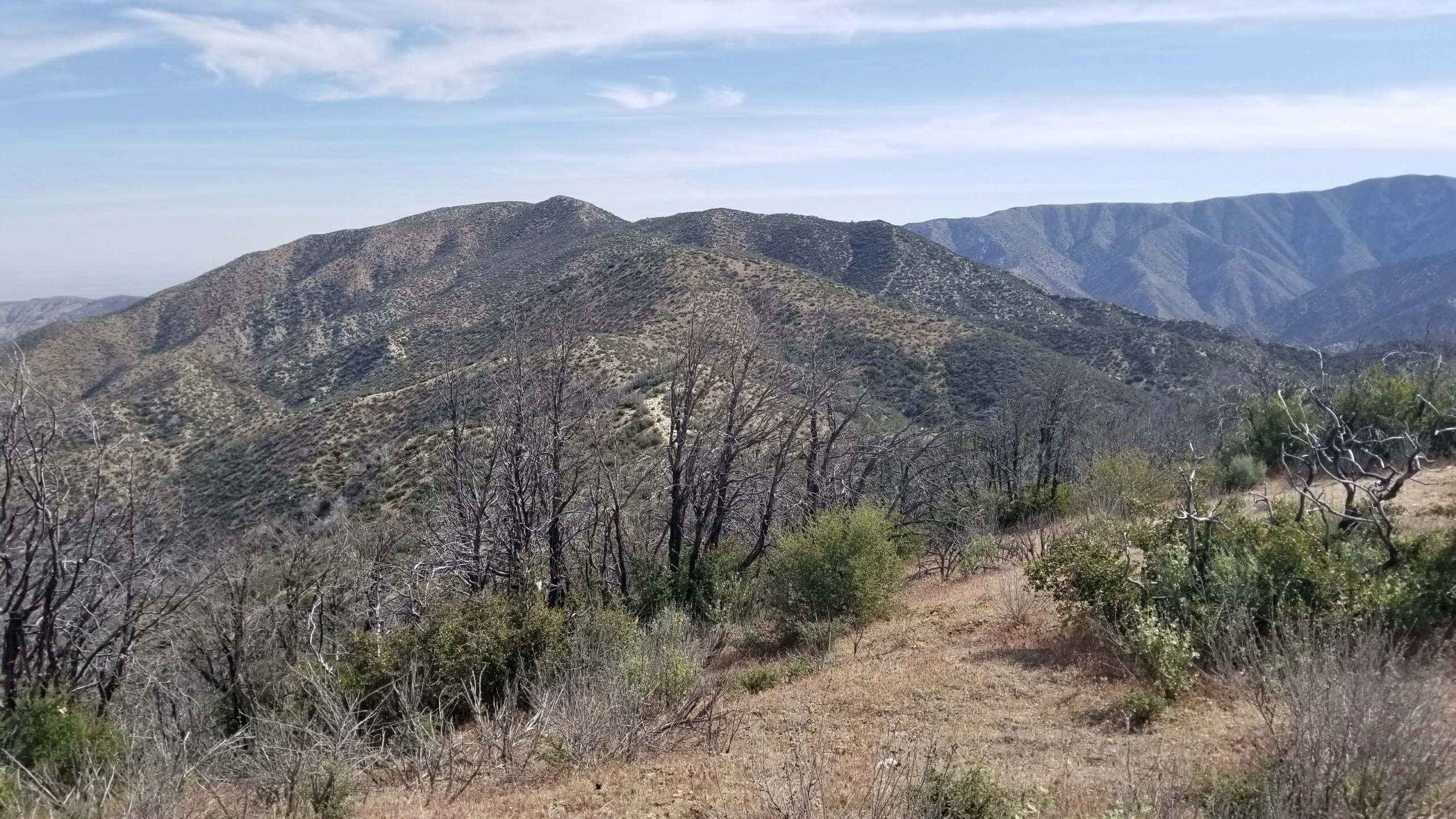 Bare Mountain, taken from the south