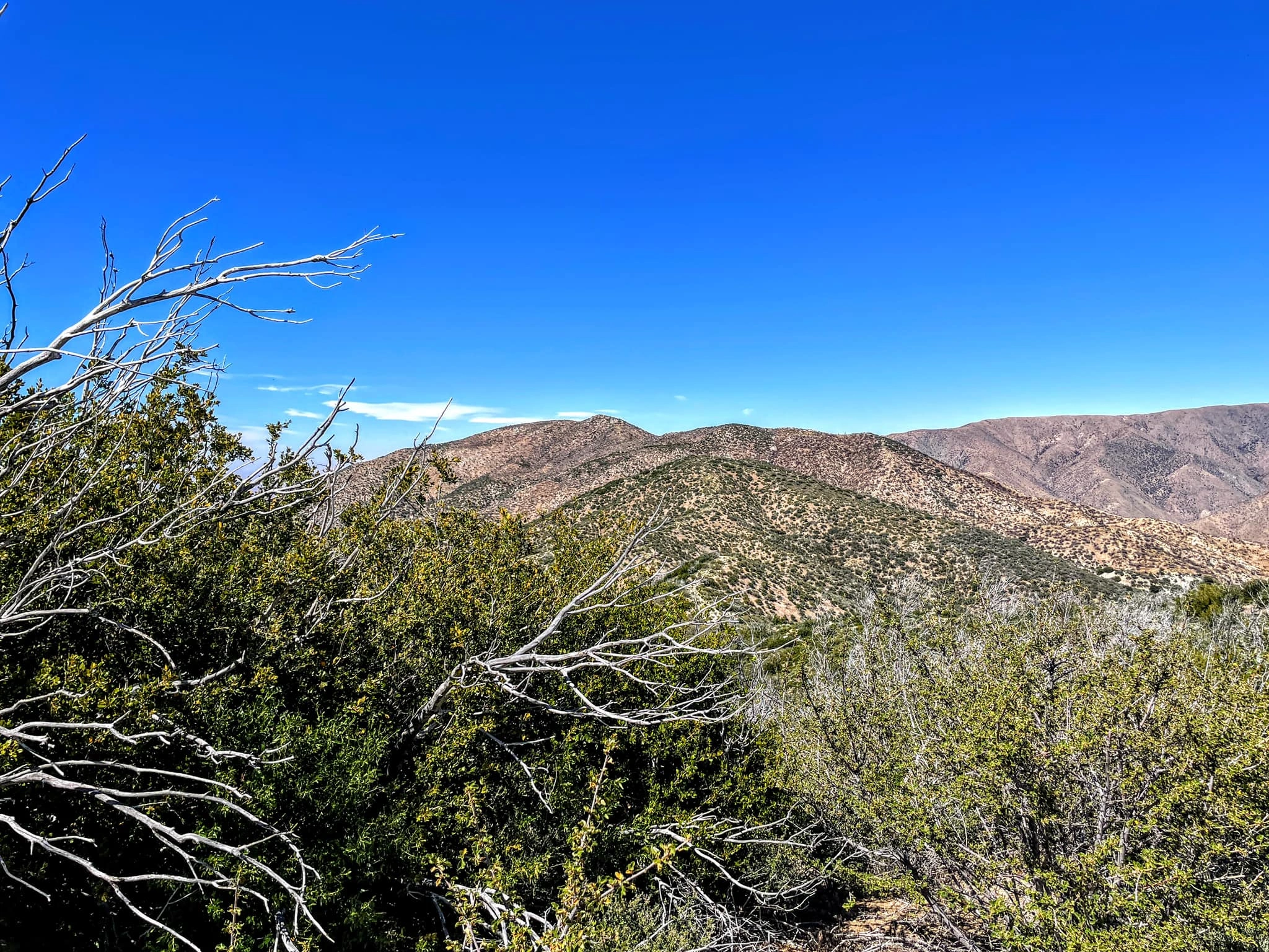 Bare Mountain