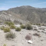 Granite Mountain #1