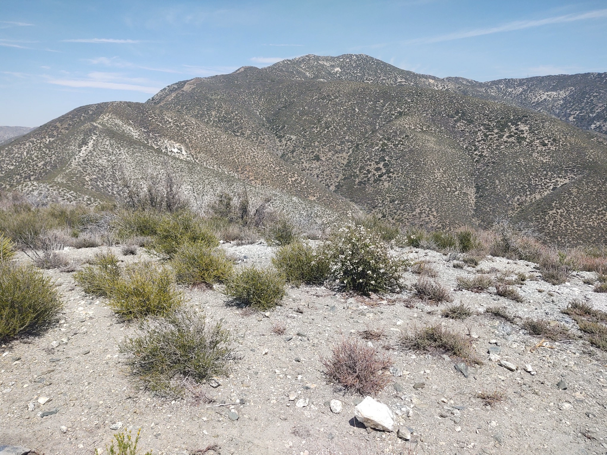 Granite Mountain #1