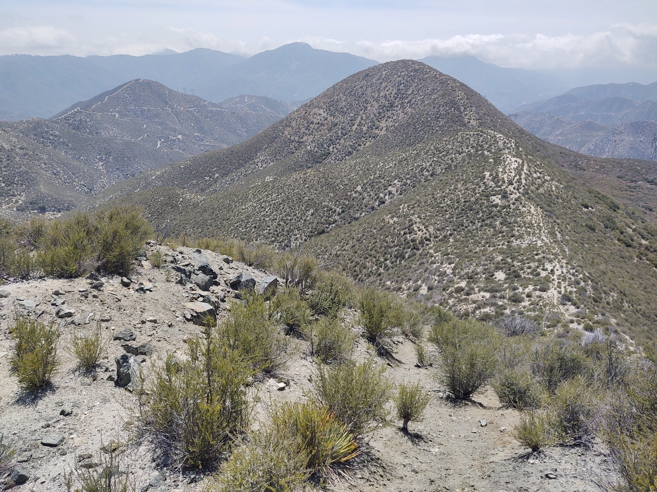 Rabbit Peak #1
