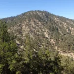 Winston Peak, taken from the trail