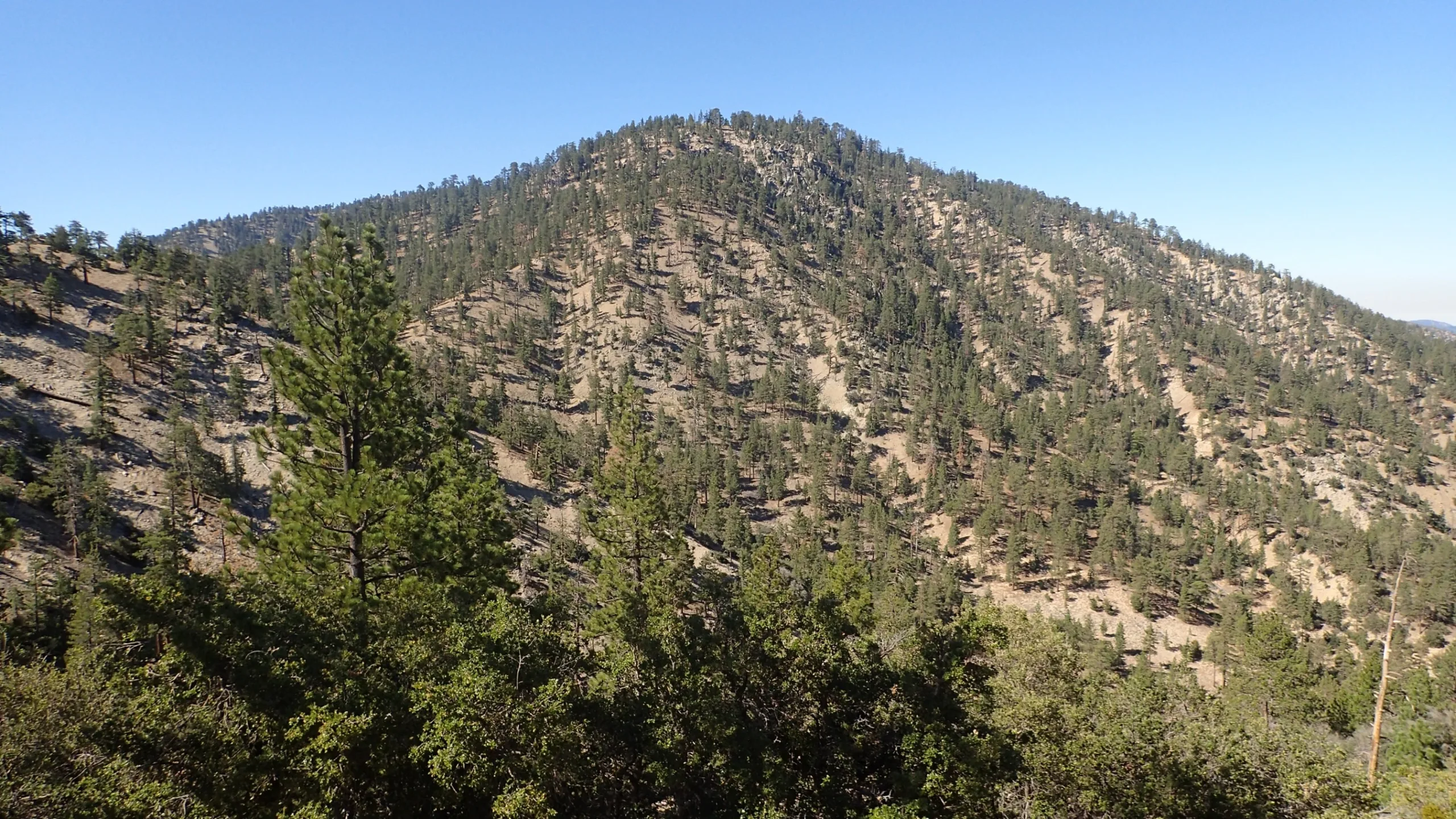 Winston Peak, taken from the trail