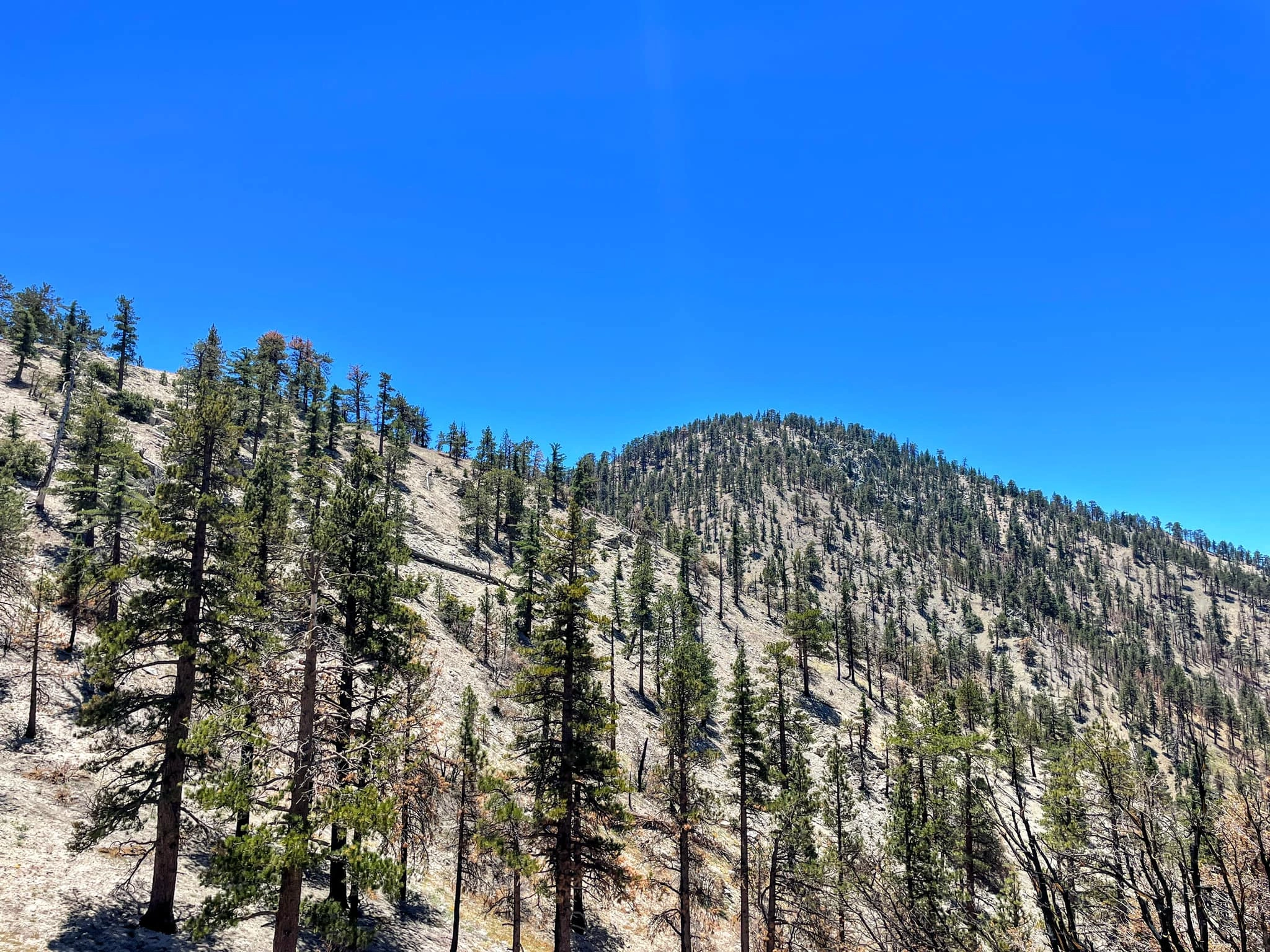 Mount Akawie