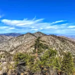 Pallett, Will Thrall and Pleasant View Ridge