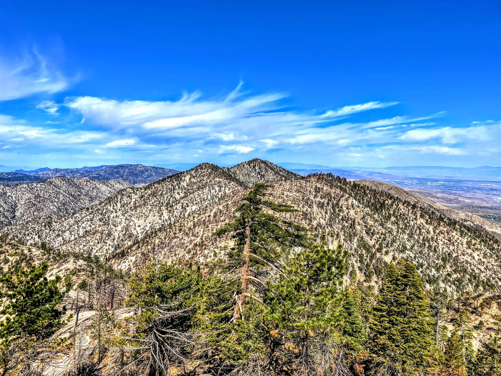 Pallett, Will Thrall and Pleasant View Ridge