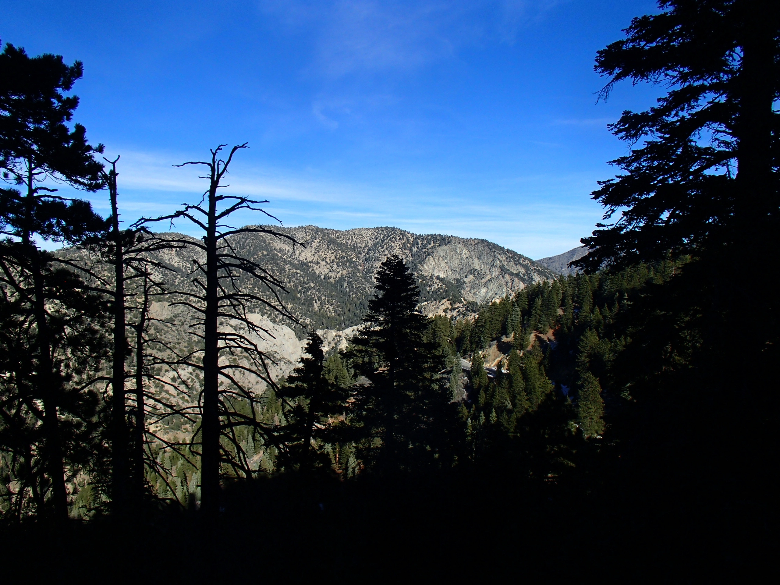 Mount Williamson